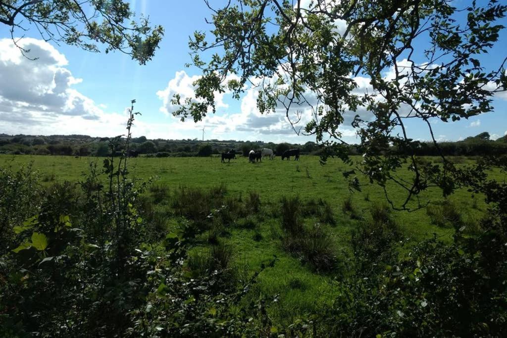 Cattle Shed Cottage Narberth Esterno foto